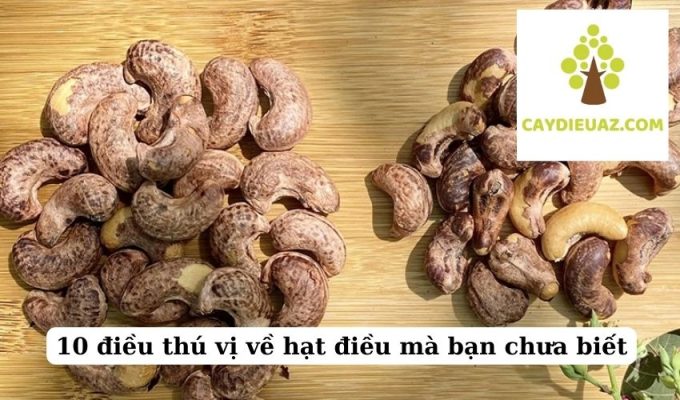 10 điều thú vị về hạt điều mà bạn chưa biết