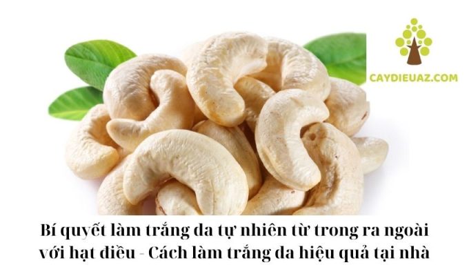 Bí quyết làm trắng da tự nhiên từ trong ra ngoài với hạt điều - Cách làm trắng da hiệu quả tại nhà