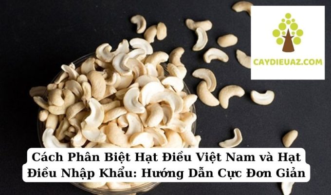 Cách Phân Biệt Hạt Điều Việt Nam và Hạt Điều Nhập Khẩu Hướng Dẫn Cực Đơn Giản