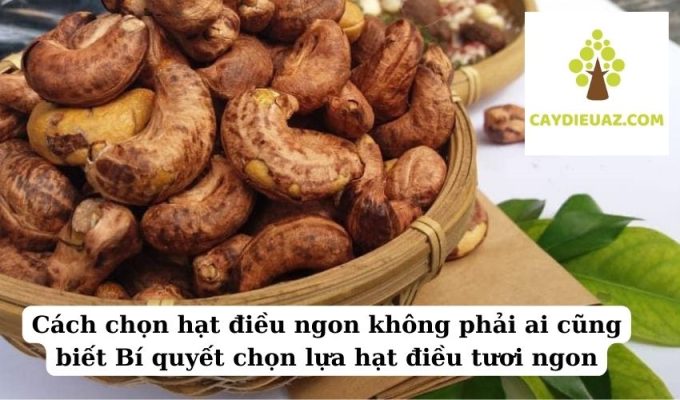 Cách chọn hạt điều ngon không phải ai cũng biết Bí quyết chọn lựa hạt điều tươi ngon