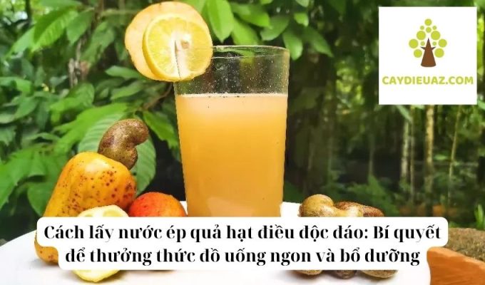 Cách lấy nước ép quả hạt điều độc đáo Bí quyết để thưởng thức đồ uống ngon và bổ dưỡng