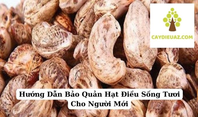 Hướng Dẫn Bảo Quản Hạt Điều Sống Tươi Cho Người Mới