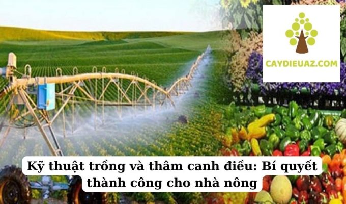 Kỹ thuật trồng và thâm canh điều Bí quyết thành công cho nhà nông