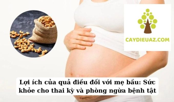 Lợi ích của quả điều đối với mẹ bầu Sức khỏe cho thai kỳ và phòng ngừa bệnh tật