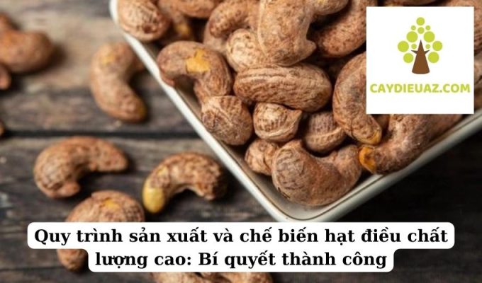 Quy trình sản xuất và chế biến hạt điều chất lượng cao Bí quyết thành công