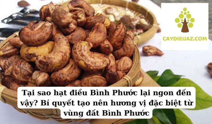 Tại sao hạt điều Bình Phước lại ngon đến vậy Bí quyết tạo nên hương vị đặc biệt từ vùng đất Bình Phước