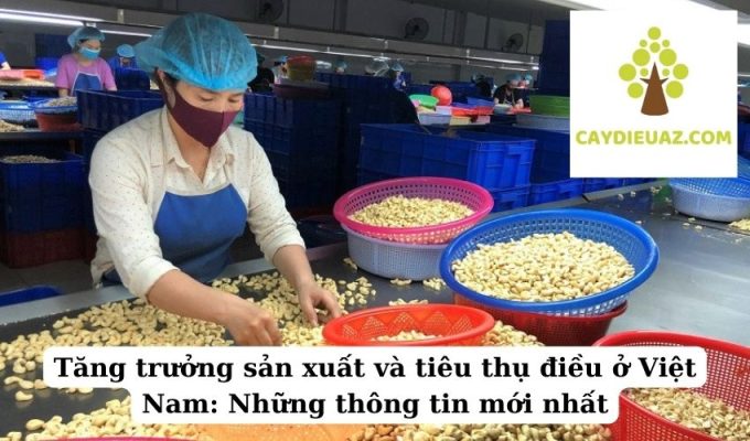 Tăng trưởng sản xuất và tiêu thụ điều ở Việt Nam Những thông tin mới nhất